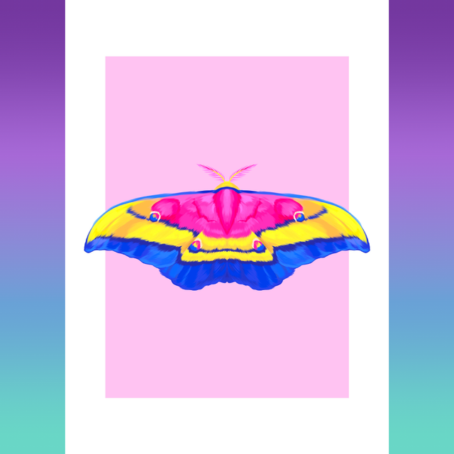 MOTH SERIES - Pansexual Print