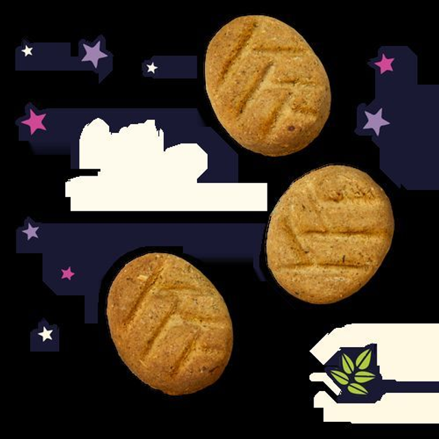 Lily&#039;s Kitchen Bedtime Organic Biscuits 80g