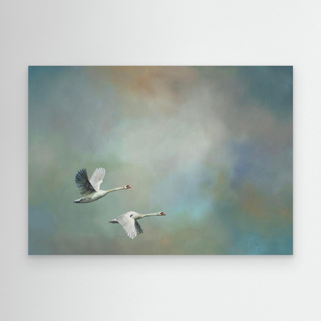 Unspoken - (Mute Swans)