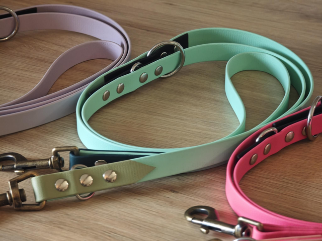 Laisse 19mm Multi position biothane