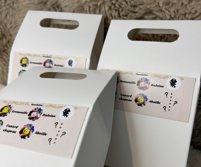 Boite Mystère Porte-Clés Saturne