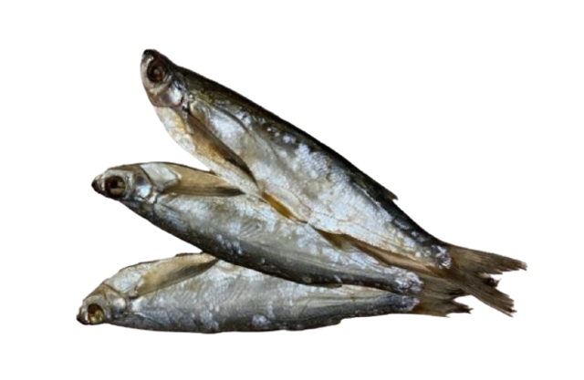 Poisson séché 10/12CM