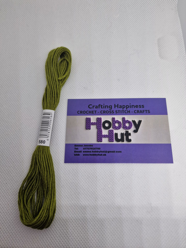 Embroidery Thread - 580