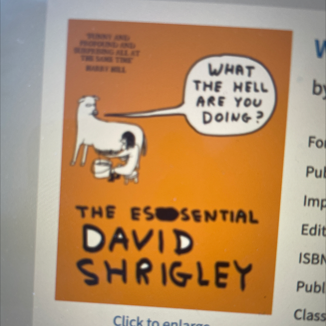 What The Hell Are You Doing David Shrigley