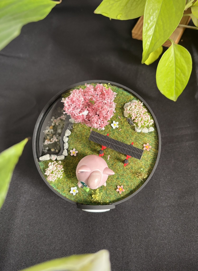 🌸 Terrarium Pokémon - Édition Japon - Rondoudou