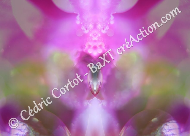 Carte postale - Entre réel et irréel (Ref IMG_C1)