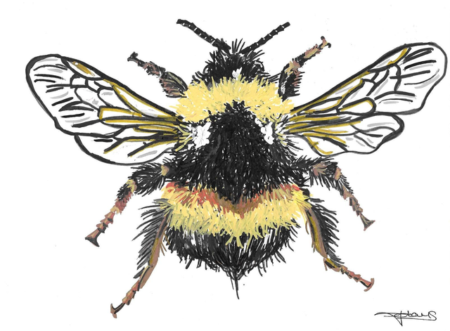 A4 print - The Bee