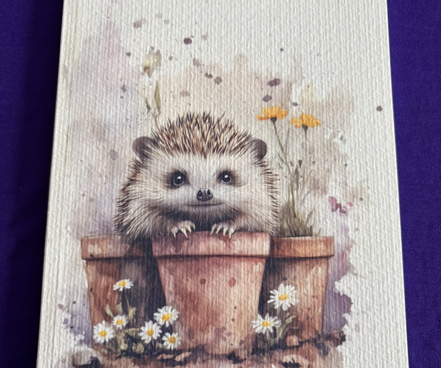Lined Note Pad Hedgehog 