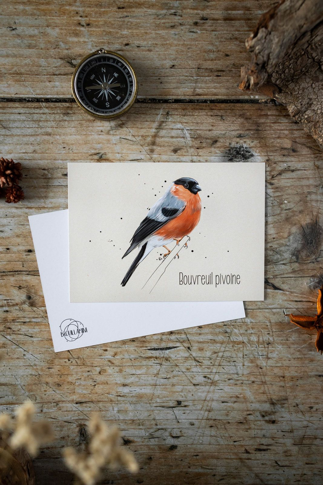 BOUVREUIL PIVOINE- Carte format A6 