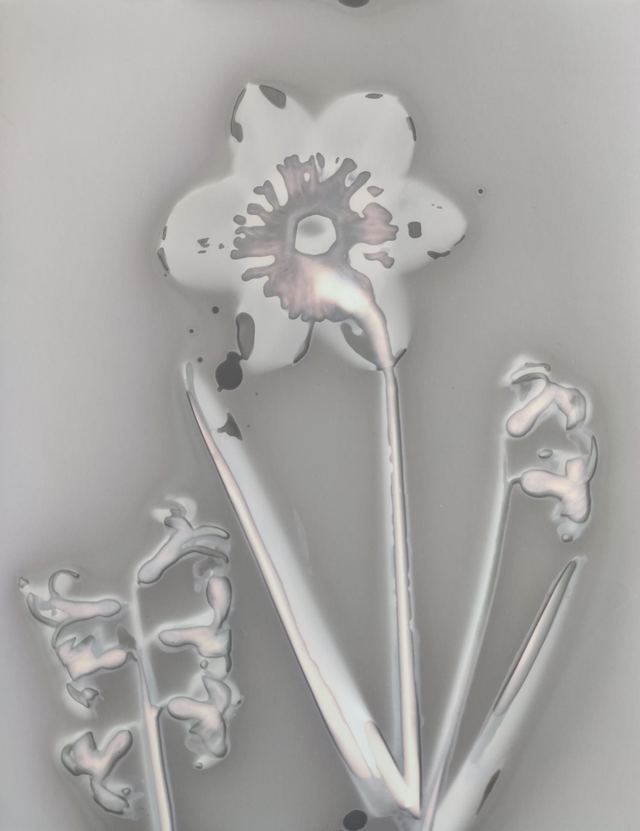 Bouquet de printemps – Narcisse et jacinthes des bois