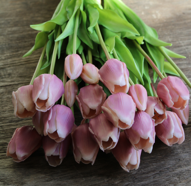 Tulp Classic Set Mauve 47cm