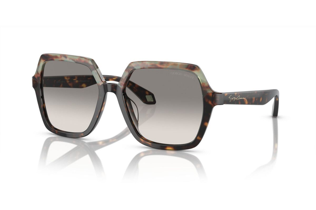 Eyewear Woman Giorgio Armani  AR 8193U 587932