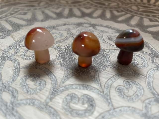 Carnelian Toadstool