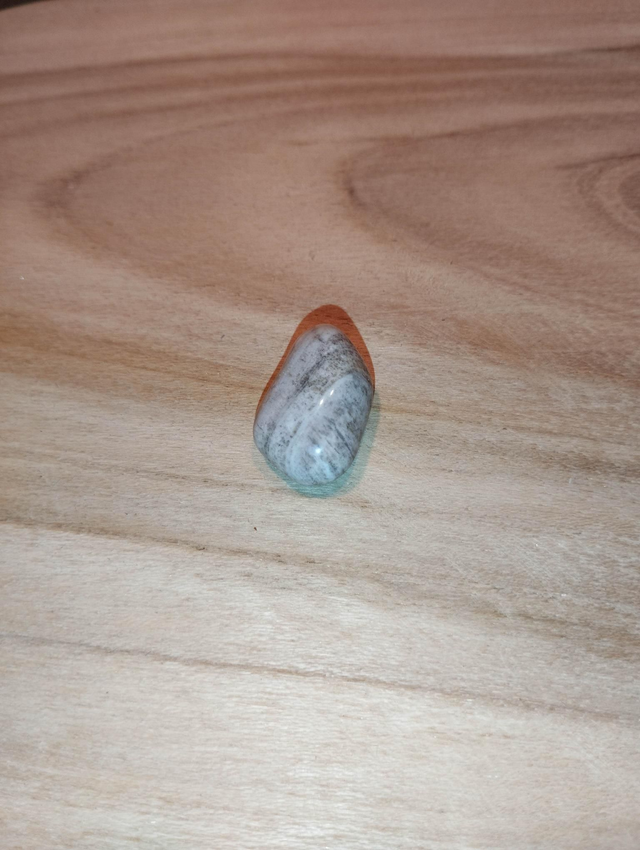 Bois fossile ou bois pétrifié 