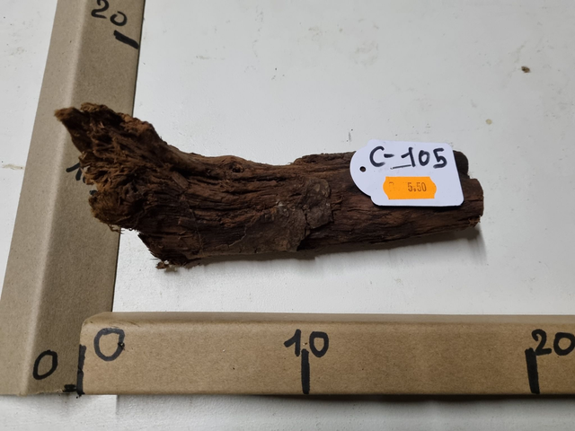 Racine Mangrove C-105