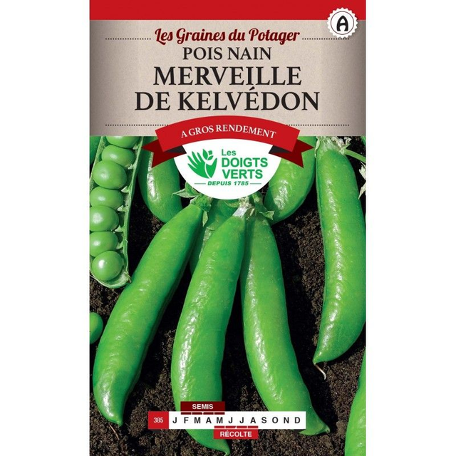 POIS NAIN MERVEILLE DE KELVEDON