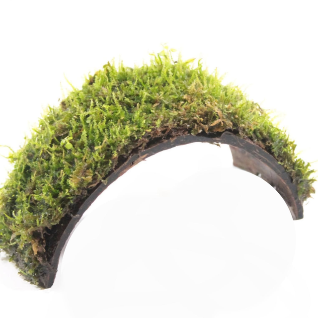 Kokos armband met Javamos