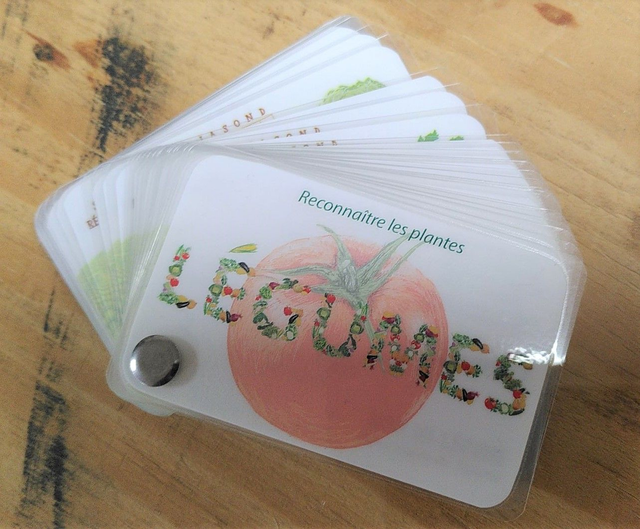 Les carnets de Pierre - Les légumes