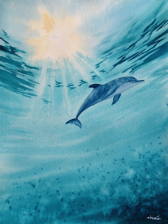 Delfín al sol - 31 x 41 cm