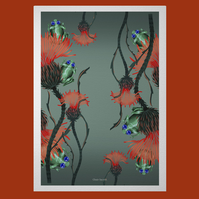 Grenouilles &amp; chardons