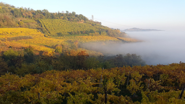 Inside the Volcano - all'interno del vulcano
