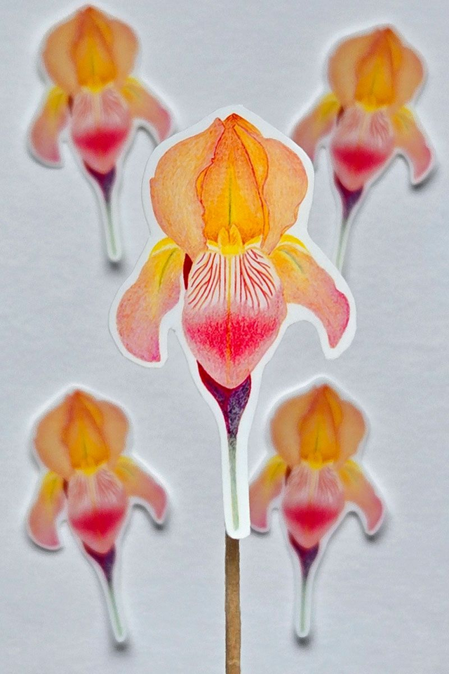 Sticker fleur iris