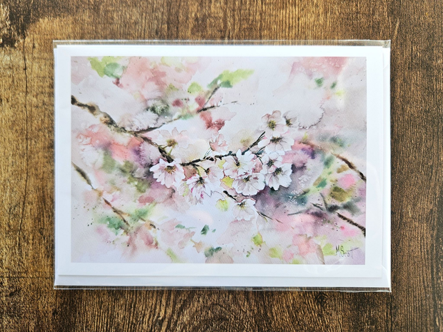 Cherry Blossoms - cards/prints (limited edition)