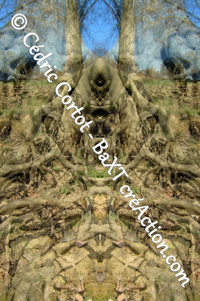 Impression sur alu dibond - Entre réel et irréel (ref 0036-1)