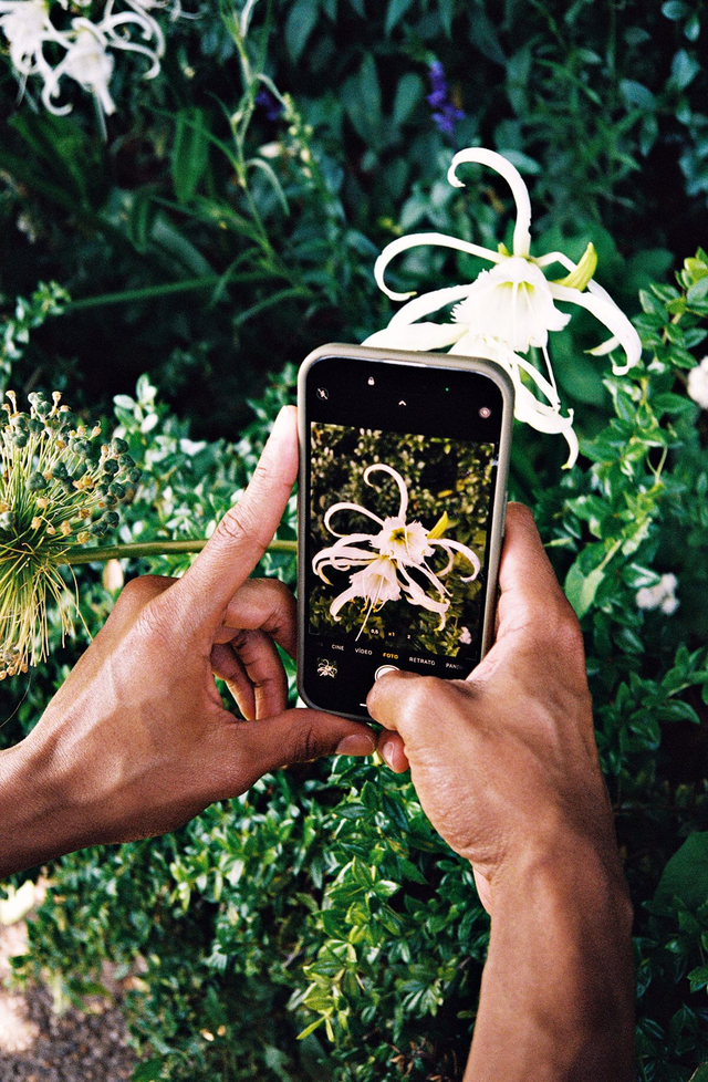 Jean-Baptiste Bernadet