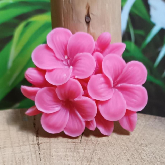 Fondant parfumé "fleurs" fraise et menthe