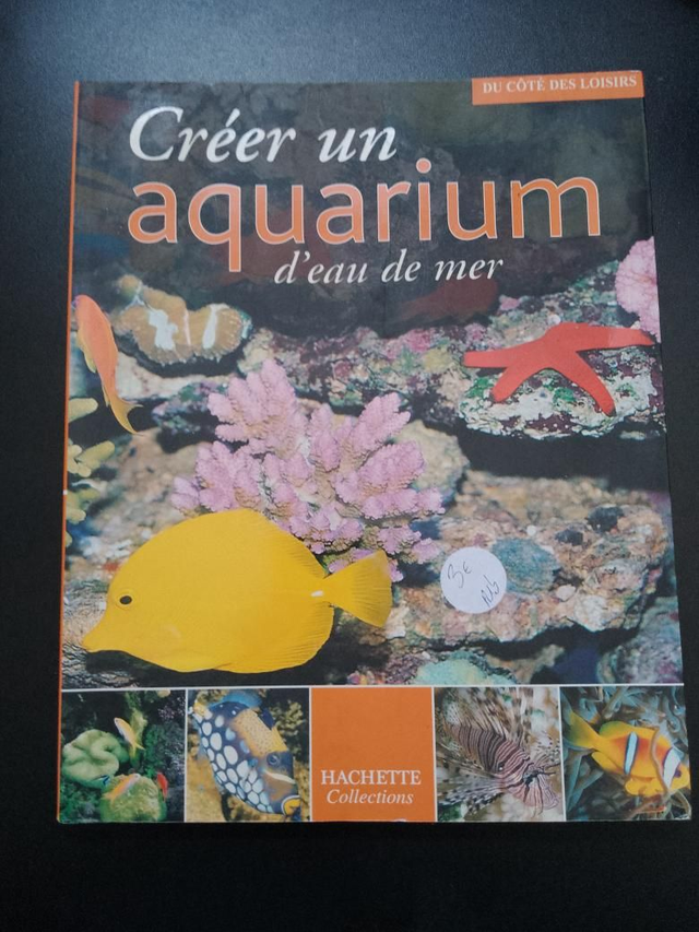 Créer un aquarium d'eau de mer