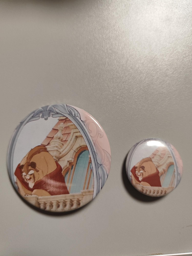 Das Biest im Spiegel 