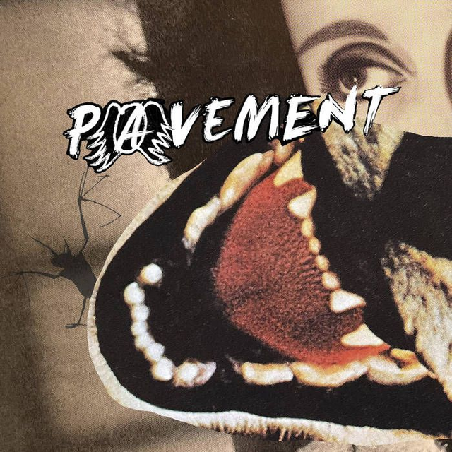 Pavement - Hecklers Choice: Big Gums and Heavy Lifters - A Pavement Collection LP