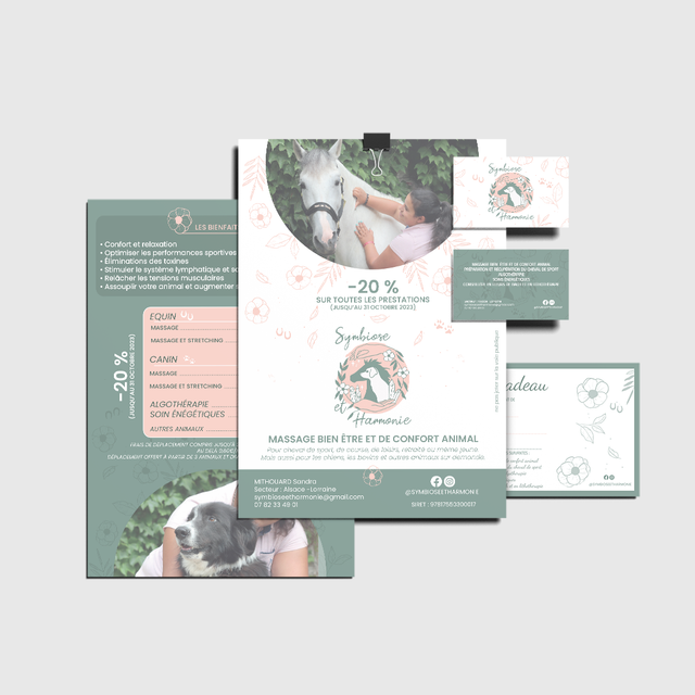 Identité visuelle complète - Logo + flyer + carte de visite (petit créateur) - à partir de 260 €