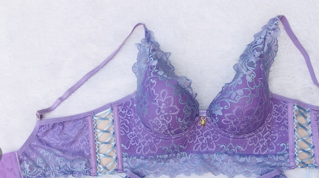 Conjunto Cropped /Bustier de Encaje Bordado en Rosa y Azul. Con aro y copa, braguita/culote de tule bordado.