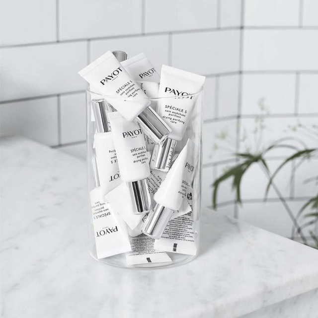 PATE GRISE - SPÉCIALE 5