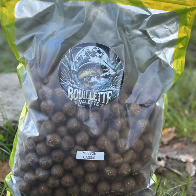 Poisson Cassis Amorçage 