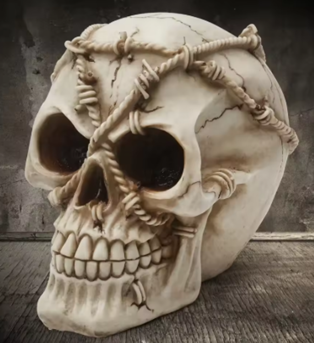 Prachtig schedel beeld gevangene met touwen (15cm)