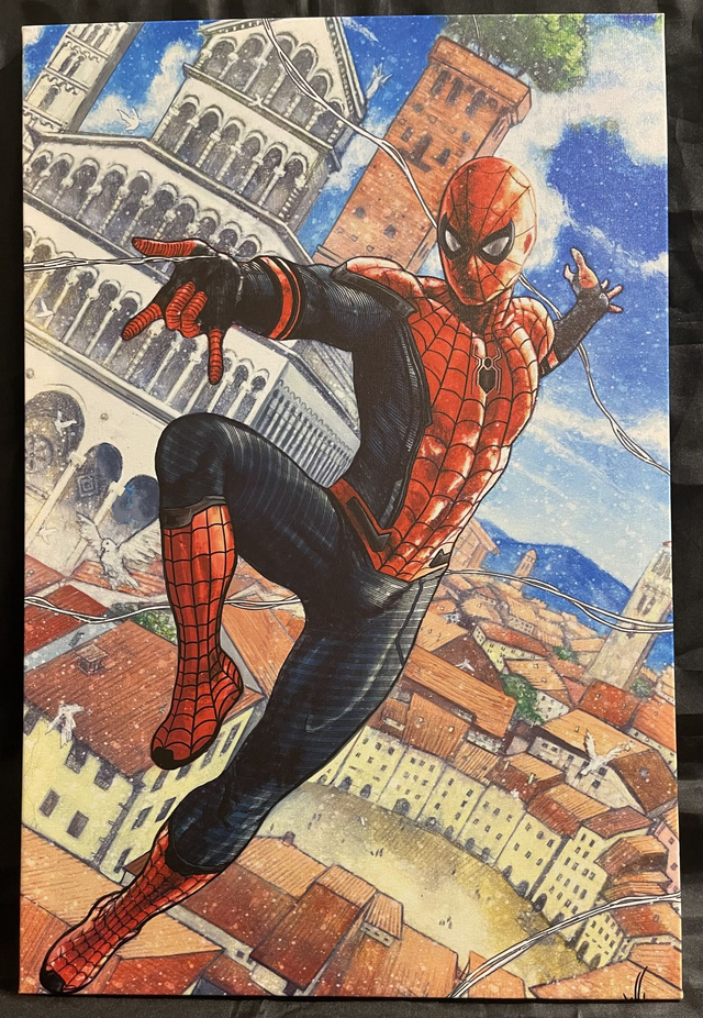Stampa su tela Spiderman a Lucca