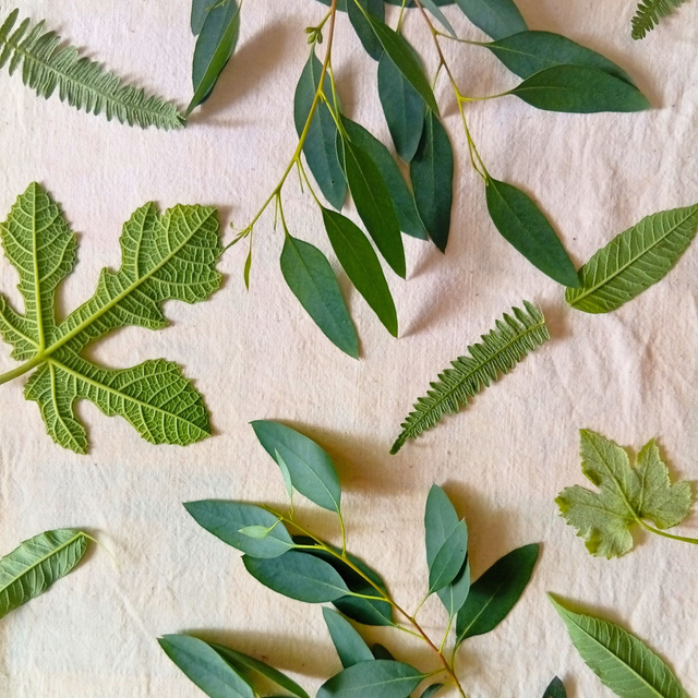 Écoprint - Atelier découverte