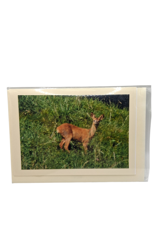 Karte mit Tiere 