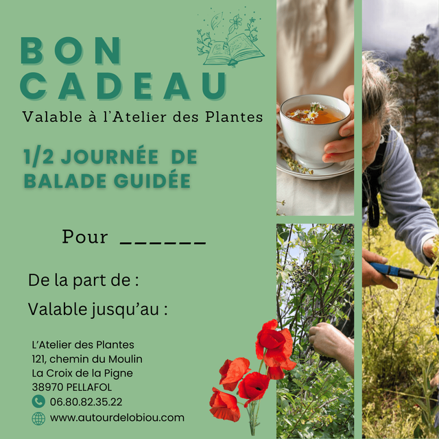 Carte Cadeau – L’Atelier des Plantes