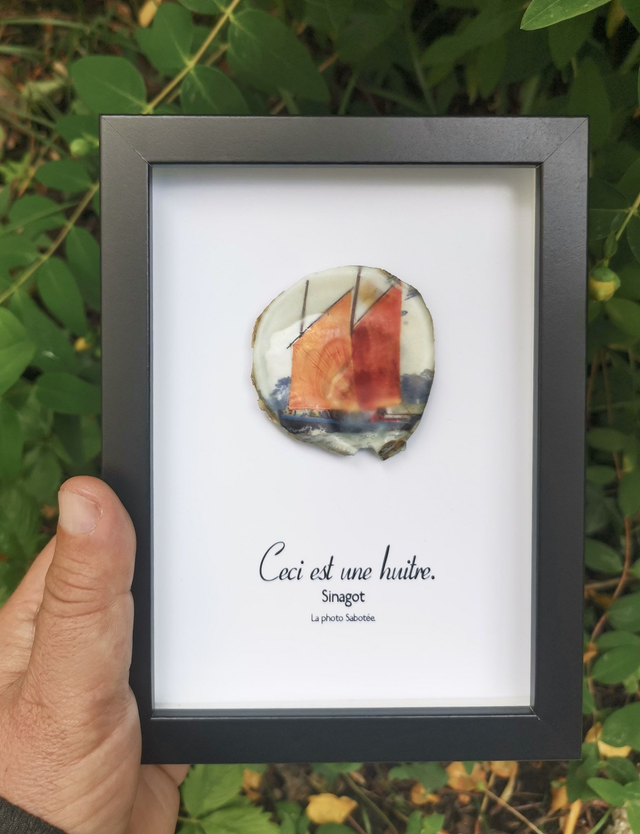 13x18 : Ceci est une huitre "Sinagot" d