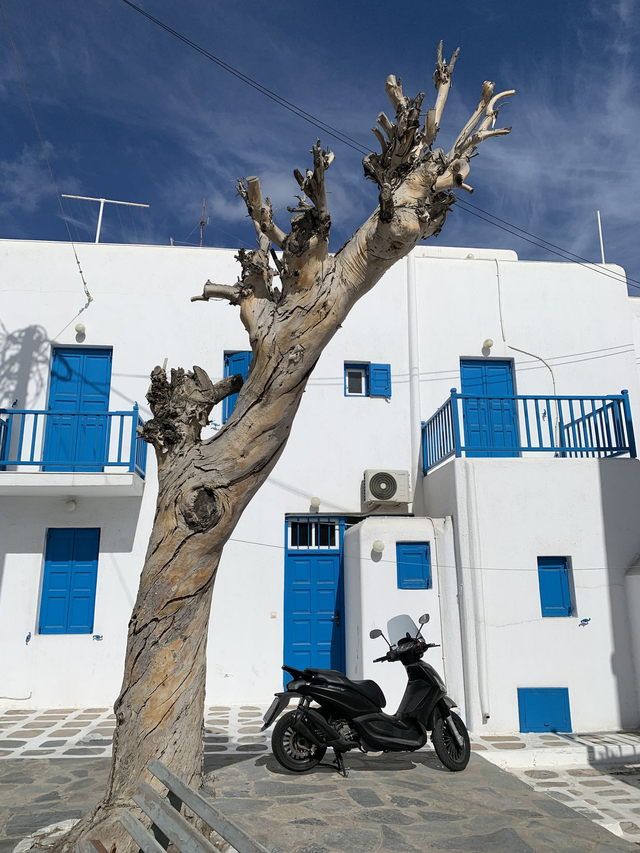 Mykonos Moped - Photo Print