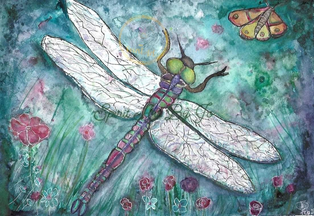 Dragonfly 