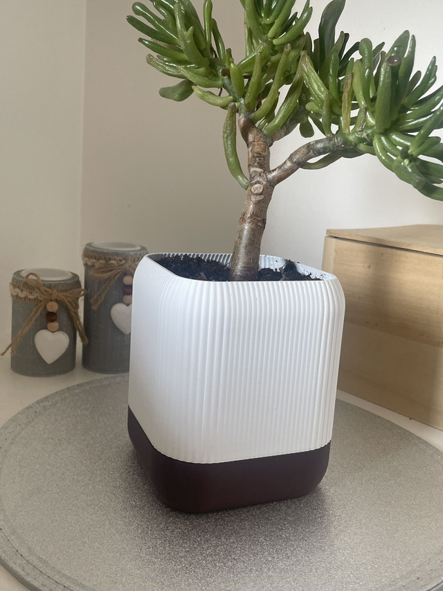 Pot de Fleur Auto-Arrosant Design en PLA