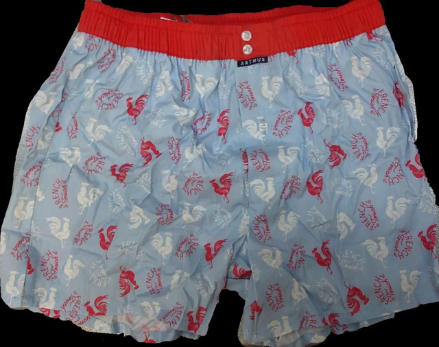 Caleçon slip ARTHUR 