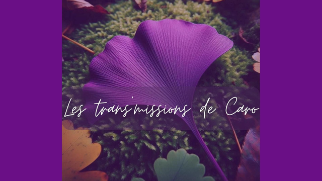 Rdv personnalisé - Guidance - Transmissions