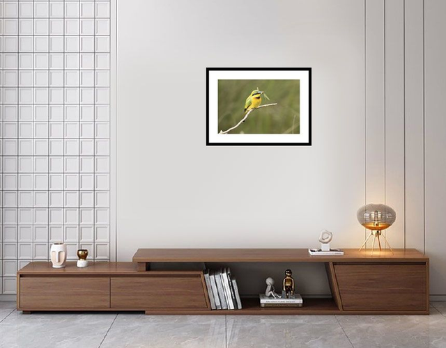 Guêpier d'Afrique - Masaï Mara - Kenya : Réf: K-0577