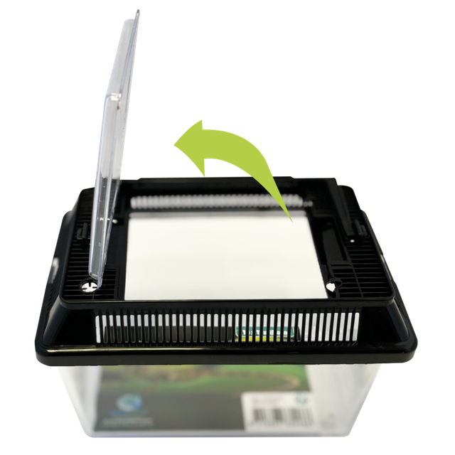 Repto Box - Boîte d’élevage compacte pour reptiles et insectes